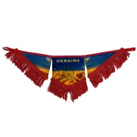UKRAINE фигурный треугольник